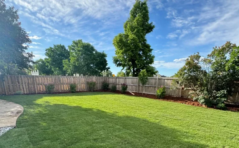 excavation companies in Denver