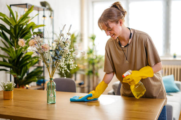home cleaning novato
