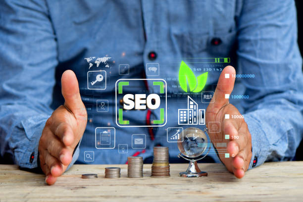 seo company in jaipur