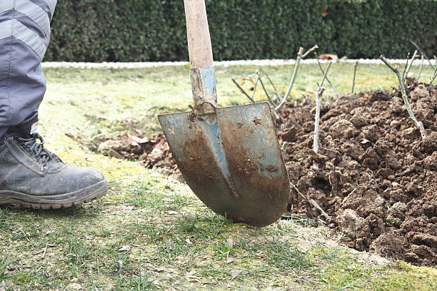 excavation Denver