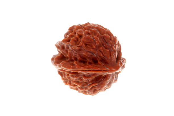 Original Rudraksha store Bannerghatta Road