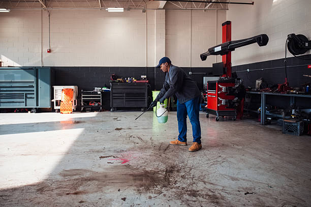 Car Dealership Cleaning