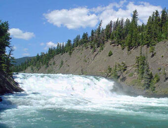 river ecosystems