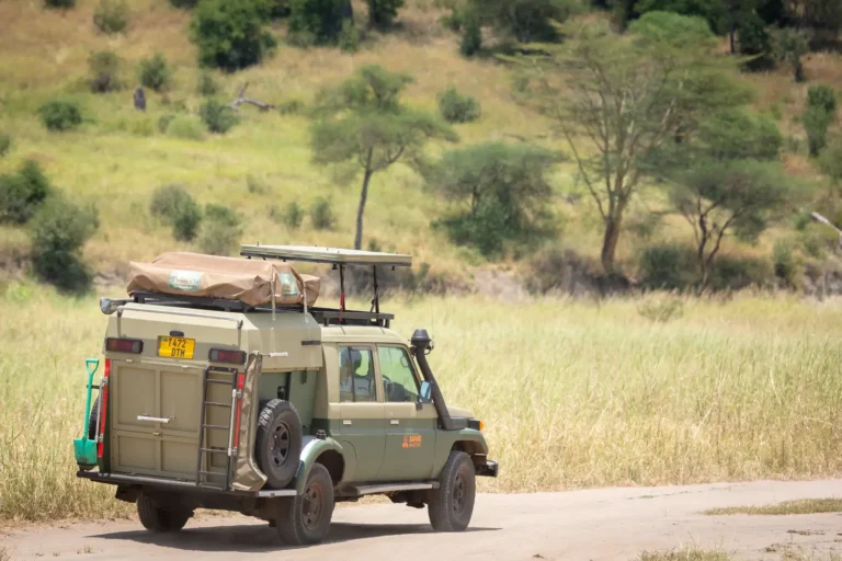 self-drive safari in Tanzania